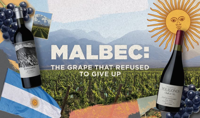 Malbec: The Grape That Refused To Give Up